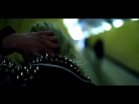 REIN - Bruises (Official Video)