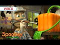 Face Painting ️ Spookley S Halloween Shorts Spookleythesquarepumpkin Halloween