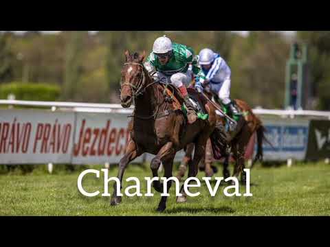 131. Velká Pardubická (Wtt) POPISEK