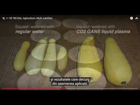 2017 01 25 PM Public Teaching in Romanian - Cursuri publice în română