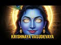 Krishnaya Vasudevaya Mantra Powerful Krishna Mantra For Peace Bhakti Positivity