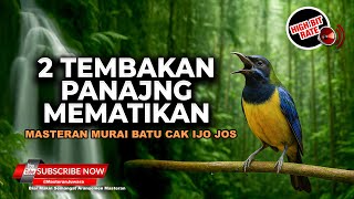 Download lagu 🔴Masteran Pukulan Panjang 2 Jalur Materi Tembakan Dahsyat Cucak Cungkok Super Gacor Volume    mp3 Download lagu 🔴Masteran Pukulan Panjang 2 Jalur Materi Tembakan Dahsyat Cucak Cungkok Super Gacor Volume    mp3