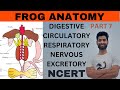 Frog anatomy class 11 || NCERT line by line||structural organisation in animals class 11 ncert