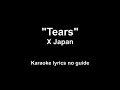 Tears - X Japan (karaoke) and Invitation for Lead Guitar Solo & Singers