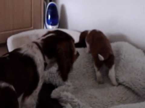 Big Spot's take over bid