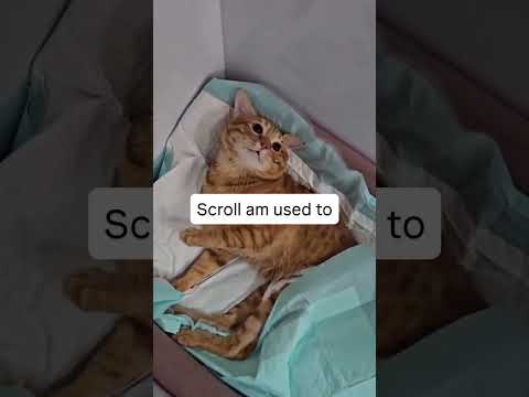 please don't sorcll my engagement is really low #foryourpage#fyppppp