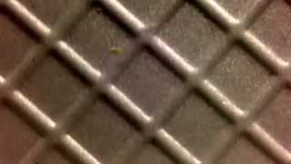 The New Division | No Health