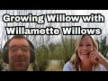 Expert Secrets to Growing Willow | Willamette Willows Interview
