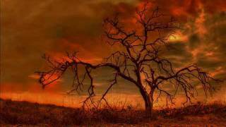 Blood and Fire (Type O Negative cover Chad Trexler)