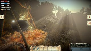 Mushrooms: Forest Walker Gameplay (PC HD) [1080p60FPS]