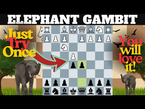CRUSH White with ELEPHANT GAMBIT in 12 Minutes!!