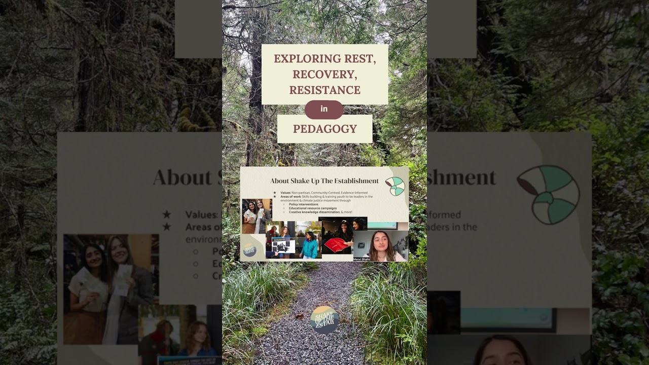 About Shake Up The Establishment