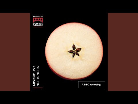 Glory to the Christ Child