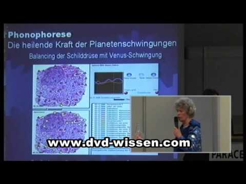 Thomas Künne auf www.dvd-wissen.com: Phonophorese - Harm...