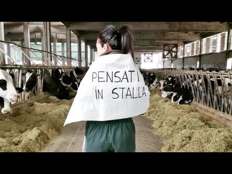 La b a s s a s o t t o s h o c k