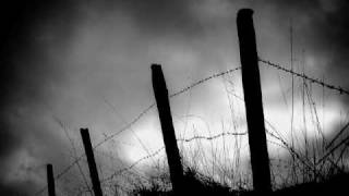 Wind In Lonely Fences.flv