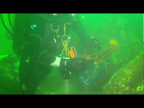 SCUBA Diving off of the Dina Dee II out of Barnegat Light, NJ
