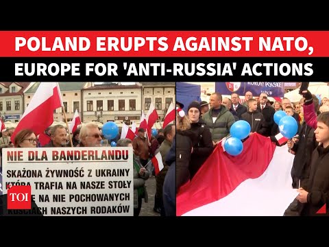 'RUSSIA WON'T SPARE US IF...': Poland ERUPTS In Support Of Putin Friendship, Slam EU On Ukraine