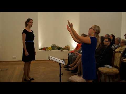 HDS Moravské děti - Na našem sádku