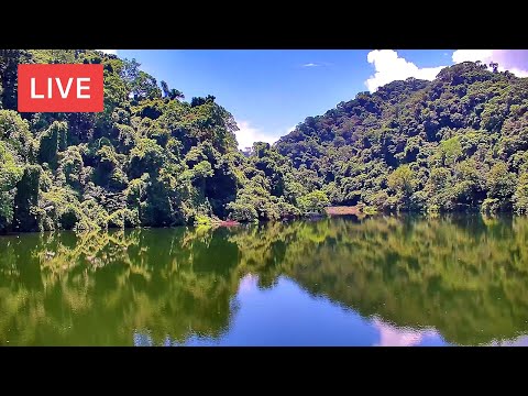 Taoyuan - Lalashan live cam