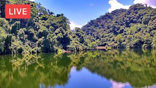 Taoyuan City · Back Cihu live stream