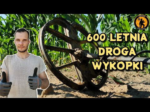 W KUKURYDZY! WARTO BYŁO! DROGA ŚREDNIOWIECZNA ( wykopki 28.06.2022r) #106