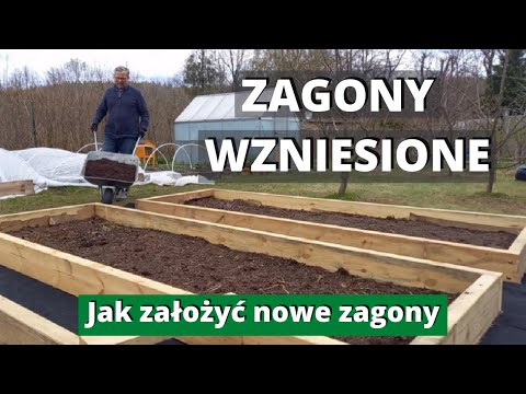 Raised beds without dig in one day. How to install them and what to fill them with. Raised beds. ...