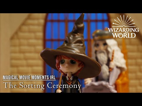 The Sorting Ceremony! (Harry Potter Magical Movie Moments IRL)