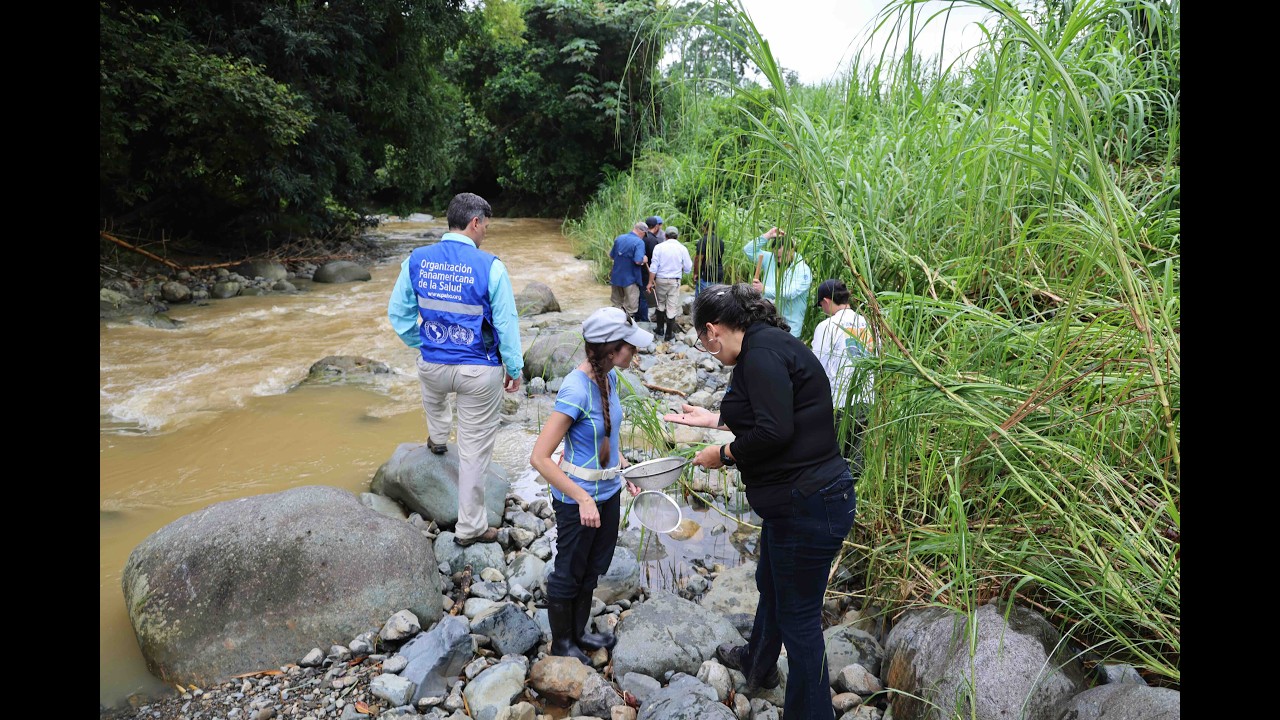 Puerto Rico hacia la eliminación de la esquistosomiasis: ciencia, historia y colaboración