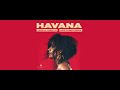 Camila Cabello meets Piazzolla - Havana (Neo Tango remix)