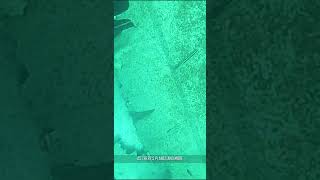 Snorkelling over sunken army tanks + planes - Aqaba