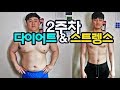 합숙2주차 시작! 일주일만에 인바디 변화가?! 다이어트&스트렝스