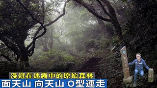 [揪人] 10/21(六) 面天山-向天山O型 一起來爬山