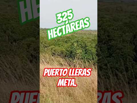 en puerto lleras meta esta increíble oportunidad, #realestate #turismo #puertollerasmeta #finca