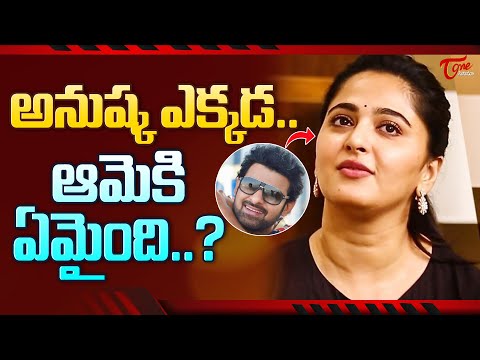 Telugu Movie News|Telugu Movie Reviews|Telugu Movie Gossips|Telugu