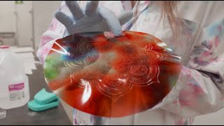 The Living Matter Lab at CU Boulder