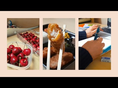 Quarantine in Korea: Day 1-4 | Daily Meals | Sun Moon University