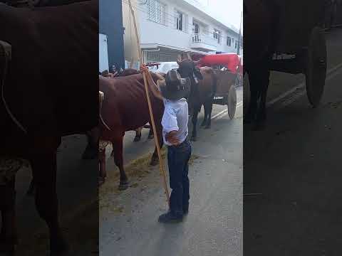 Desfile de Carreiros de Santa Rita de Caldas-MG | Parte #02