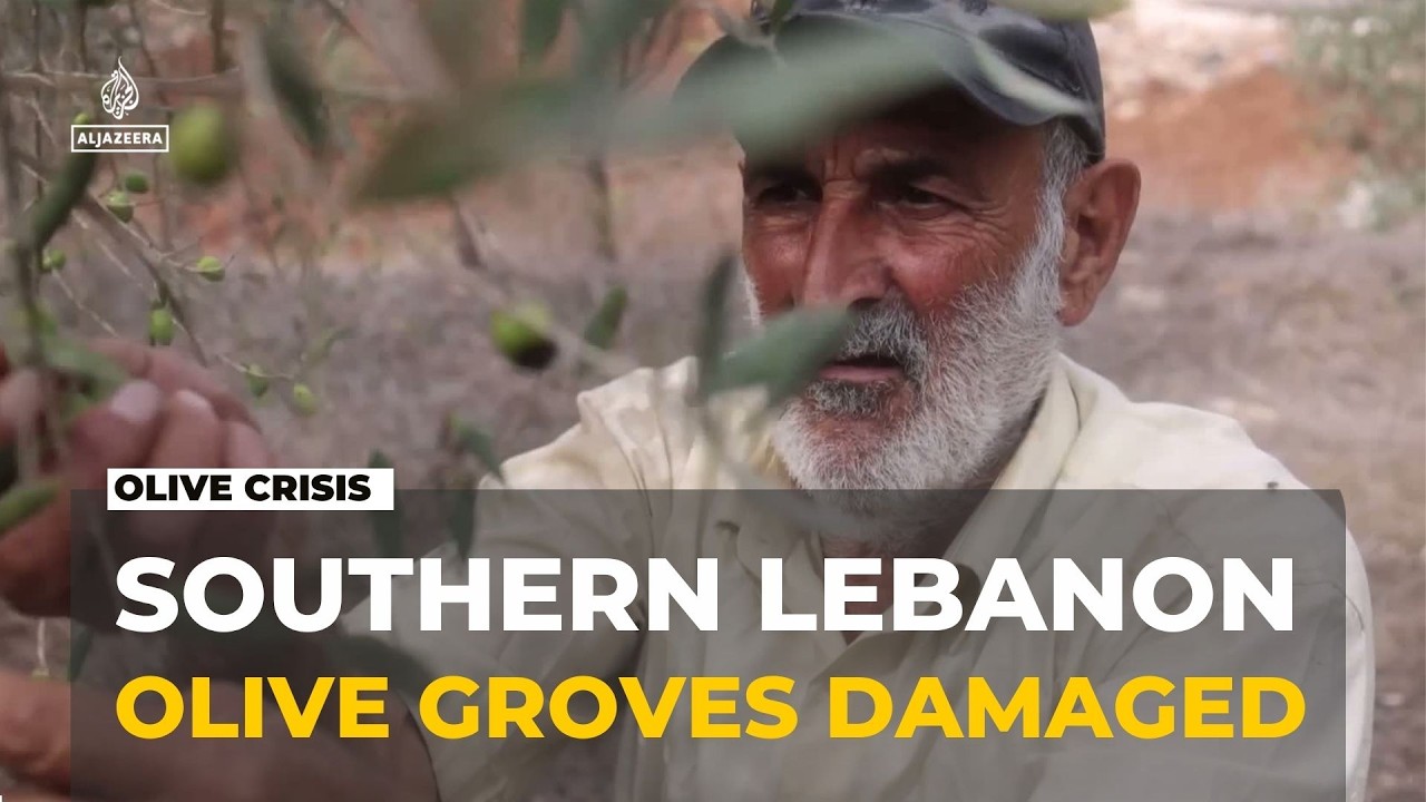 Aftermath in southern Lebanon: Israeli actions damage 22% of agriculture land