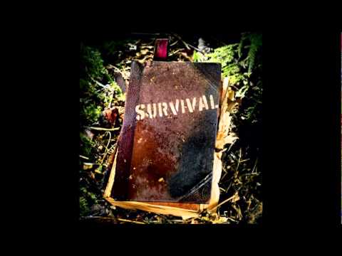 Hardsoul ft Baggi Begovic - Survival