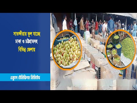 সাতক্ষীরার কুল যাচ্ছে ঢাকা ও চট্টগ্রামসহ বিভিন্ন জেলায় | ETV News