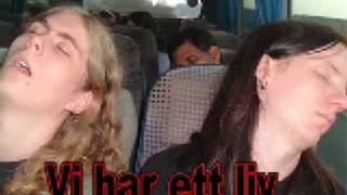 Avatar - War Song (Misheard lyrics)