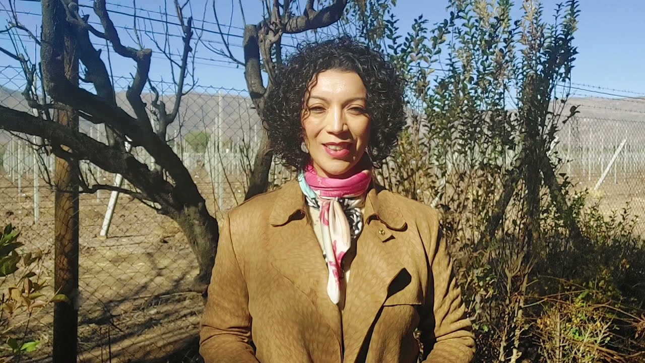 youtube video id=AFAB-AKdYfA