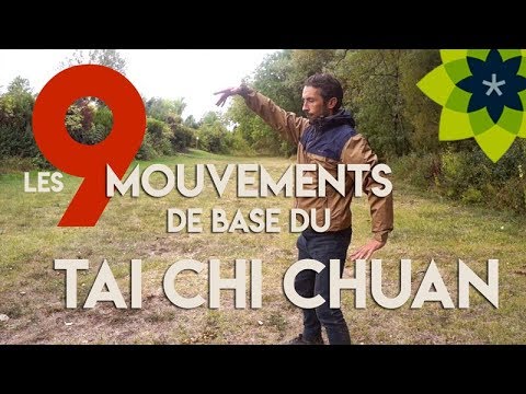 MOUVEMENTS DE BASE DU TAI CHI CHUAN : L'ALPHABET DU MOUVEMENT 9 / Esprit Du Corps