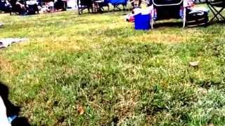 Awesome band playing at musep