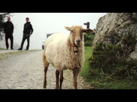 Road Ranger Surf-Trip 2015 (Nissan Navara)