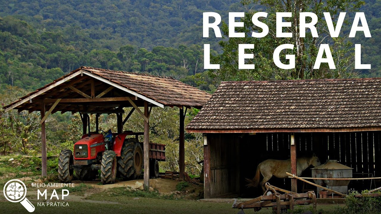Entenda a Reserva Legal e o porquê você precisa saber disso | Lei Federal 12.651/2012