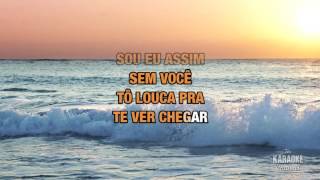 Fico assim sem você : Adriana Calcanhotto | Karaoke with Lyrics