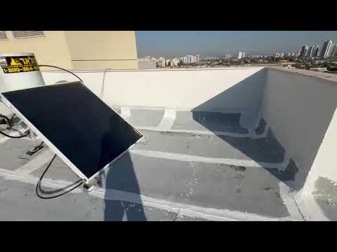 תמונה של עלי חלבי