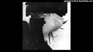 These Hidden Hands - These Moments Dismantled (ft. Lucrecia Dalt)